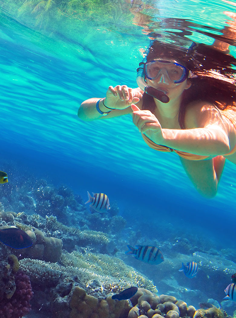 snorkeling_services